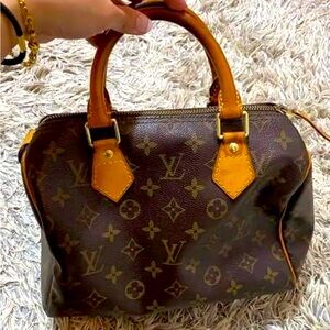 Louis Vuitton speedy 25 with red organizer inside